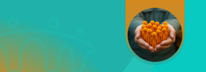 Vertriebsingenieur - Sales Talent (m/w/d) bei IVM