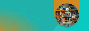 Senior Process Engineer (m/w/d) bei IVM